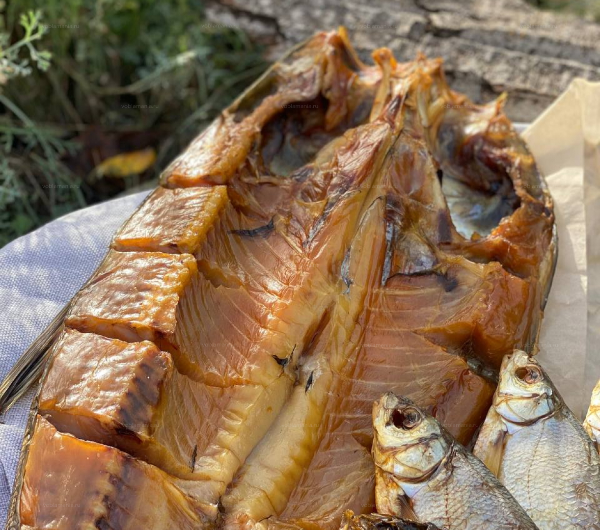 Толстолобик книжка #3