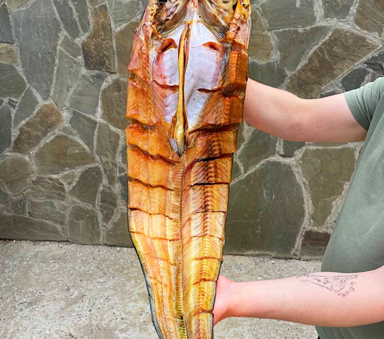 Сом книжка #2