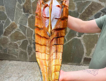 Сом книжка, миниатюра #2