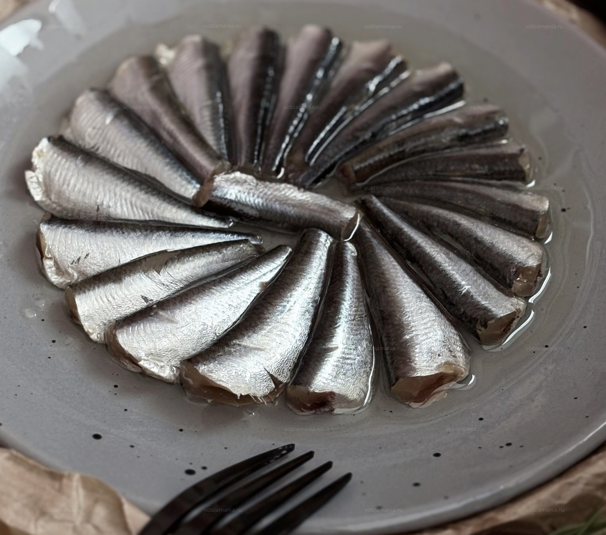 Килька в масле #1